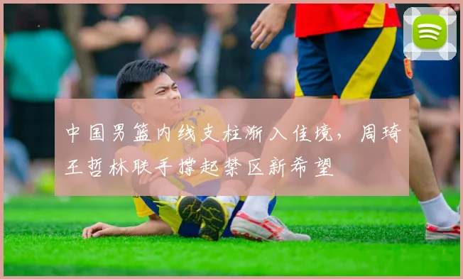 中国男篮内线支柱渐入佳境,周琦王哲林联手撑起禁区新希望 - 虎扑体育推荐