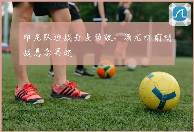 印尼队迎战丹麦劲敌,汤尤杯前哨战悬念再起 - 虎扑体育推荐
