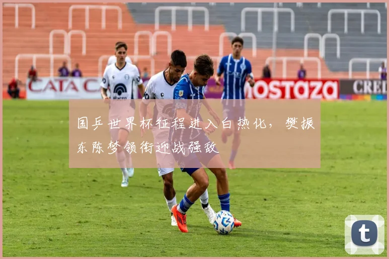 国乒世界杯征程进入白热化，樊振东陈梦领衔迎战强敌 - 虎扑体育精选